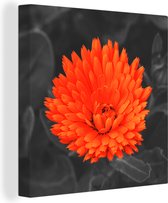 Canvas Schilderij Bloemen - Oranje - Zwart - Wit - 20x20 cm - Wanddecoratie