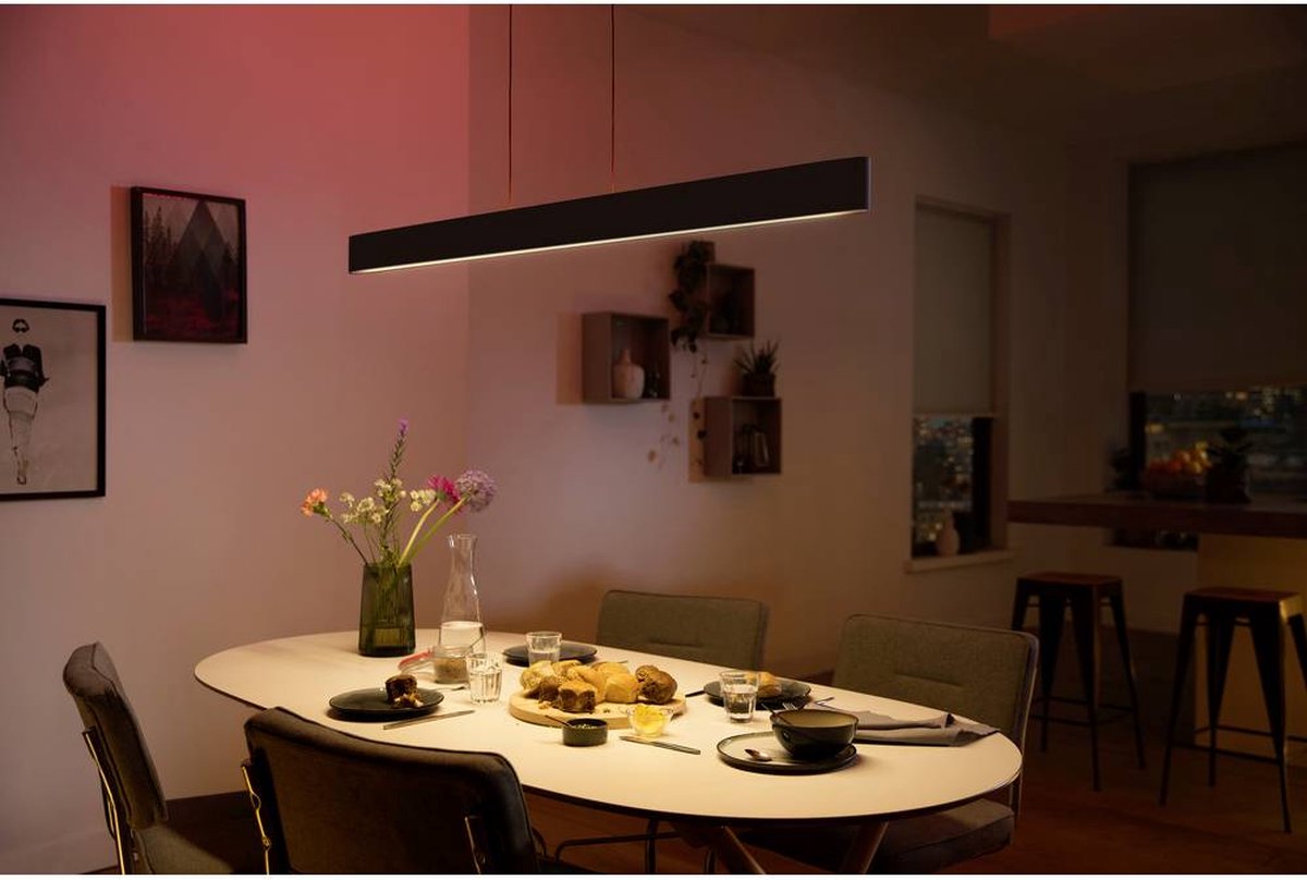 Philips Hue Ensis Hanglamp - White and Color Ambiance - Zwart - 2 x 39W -  Bluetooth | bol.com