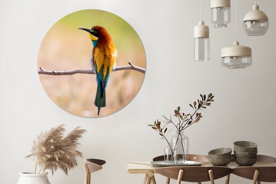 WallCircle - Cercle Mural - Cercle Mural - Vogels - Guêpier - Animaux - Aluminium - Dibond - 140x140 cm - Intérieur et Extérieur