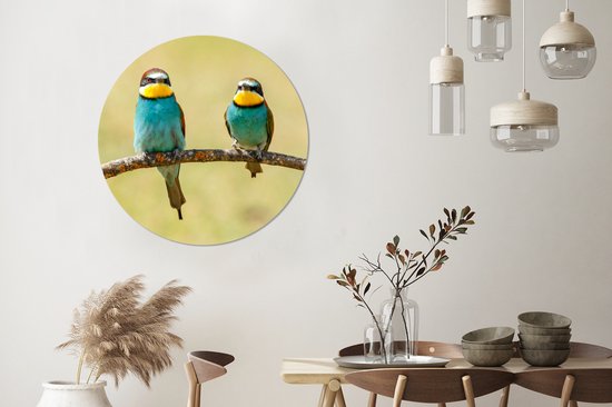 WallCircle - Cercle Mural - Cercle Mural - Vogels - Animaux - Guêpier - Aluminium - Dibond - 90x90 cm - Intérieur et Extérieur