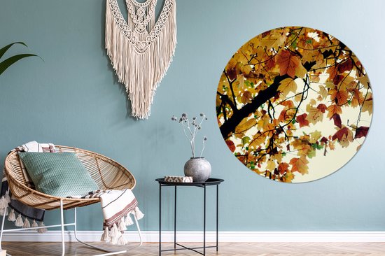 WallCircle - Wall Circle - Wall Circle Indoor - Arbres - Feuilles d'Automne - Nature - 120x120 cm - Décoration murale - Peintures Ronds XXL