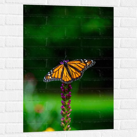 WallClassics - Muursticker - Oranje met Zwarte Vlinder - 60x90 cm Foto op Muursticker