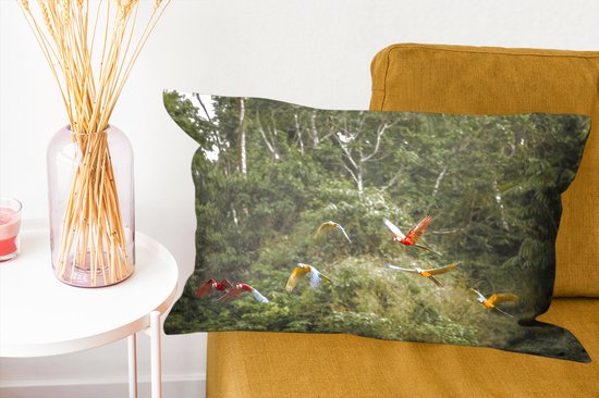 Sierkussen pour la vie forestière à l'intérieur - Perroquets dans la forêt tropicale - 60x40 cm - Coussin rectangulaire en coton