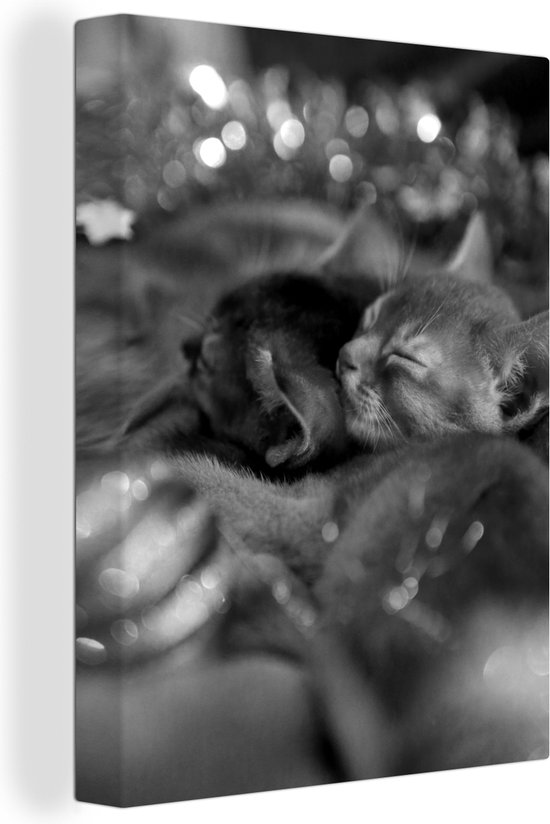 Canvas Schilderij Slapende kittens en moeder kat tussen de kerstversiering - zwart wit - 60x80 cm - Wanddecoratie