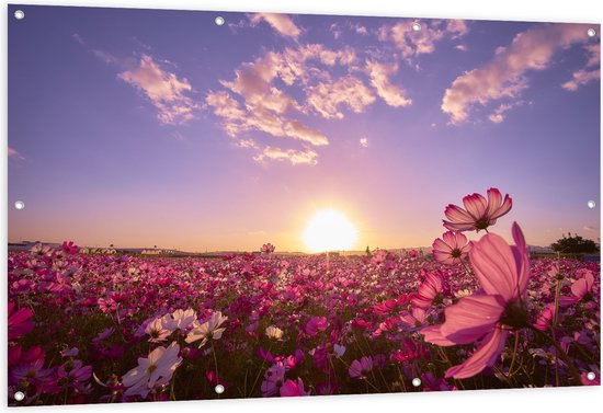 WallClassics - Tuinposter – Veld Roze Bloemen met Paarse Lucht - 150x100 cm Foto op Tuinposter  (wanddecoratie voor buiten en binnen)