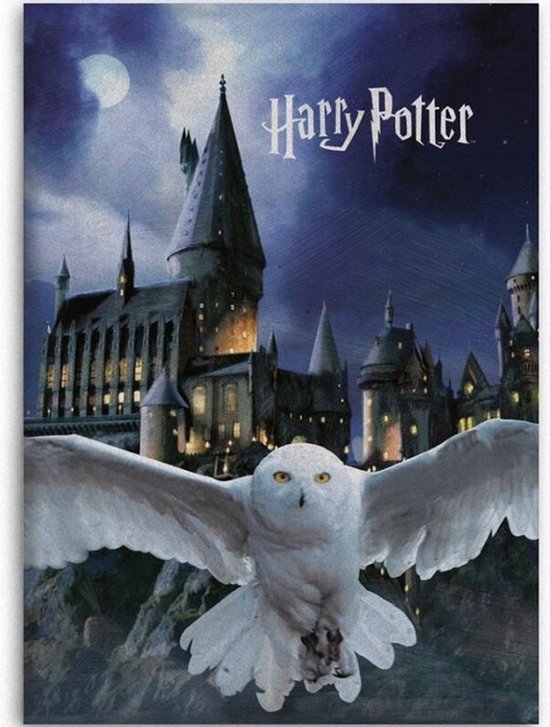 Harry Potter Fleece deken Hogwarts Hedwig - 100 x 140 cm - Polyester