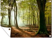 Décoration de Jardin Forêt - Soleil - Saisons - Paysage - 40x30 cm - Toile de jardin - Poster extérieur