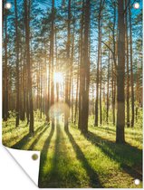 Tuinschilderij Zon - Bomen - Landschap - Gras - 60x80 cm - Tuinposter - Tuindoek - Buitenposter