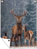 Tuinschilderij Hert - Winter - Sneeuw - Bosdieren - Bos - Natuur - 60x80 cm - Tuinposter - Tuindoek - Buitenposter