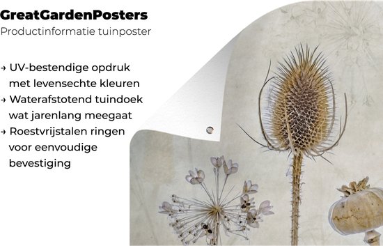Tuinposter met een bruin, vintage stilleven van gedroogde bloemen: distel, klaprozen en papaver. Met productinformatie: UV-bestendig, waterafstotend, roestvrijstalen ringen.