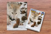 Puzzel Eekhoorn - Wolf - Sneeuw - Winter - Legpuzzel - Puzzel 1000 stukjes volwassenen - Kerst - Cadeau - Kerstcadeau voor mannen, vrouwen en kinderen