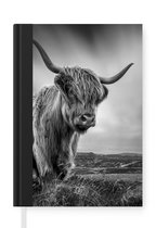 Notitieboek - Schrijfboek - Koeien - Schotse hooglander - Natuur - Dieren - Zwart wit - Notitieboekje klein - A5 formaat - Schrijfblok