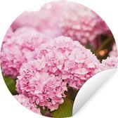 WallCircle - Behangcirkel - Zelfklevend behang - Hortensia - Bloemen - Bladeren - Plant - Roze - Behangsticker - ⌀ 30 cm - Behang zelfklevend - Rond behang - Behangcirkel bloemen