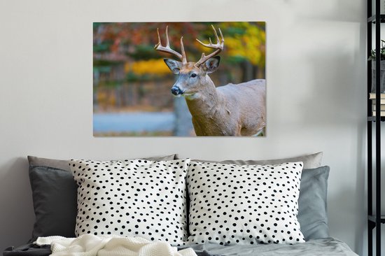 Cerf avec la tête en l'air toile 2cm 60x40 cm - Tirage photo sur toile peinture (Décoration murale salon / chambre) / animaux sauvages Peintures sur toile