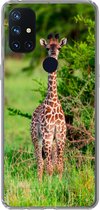 Geschikt voor OnePlus Nord N10 5G hoesje - Baby - Giraffe - Planten - Siliconen Telefoonhoesje
