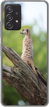 Geschikt voor Samsung Galaxy A53 5G hoesje - Stokstaartje - Tak - Boom - Siliconen Telefoonhoesje