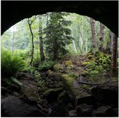 WallClassics - Poster brillant – Vert dans une grotte – Photo 50 x 50 cm sur papier poster brillant