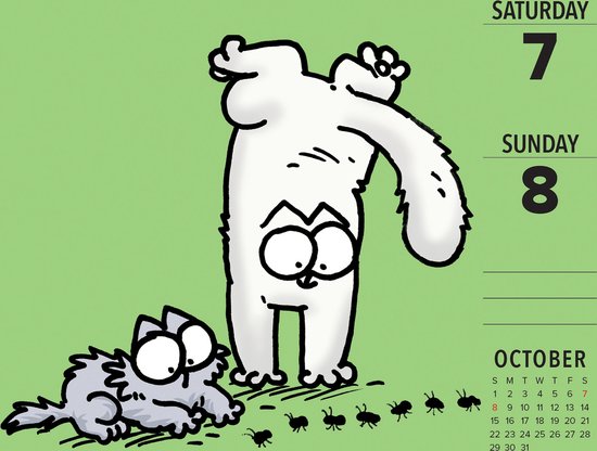 Simon's Cat Kalender 2023 Boxed  bol