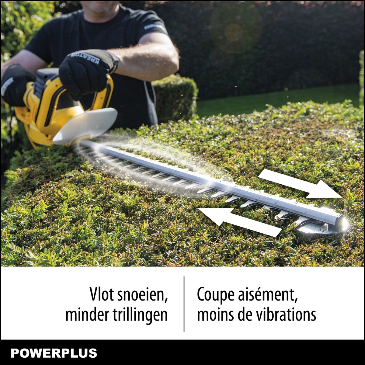 Powerplus Taille-Haie Électrique POWXG20090 - Taille Haie Electrique de 750  W, Lame de 690 mm, Écart de 24 mm, Outillage de Jardin