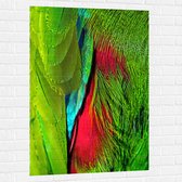 WallClassics - Muursticker - Groen met Rode Veren van een Vogel - 80x120 cm Foto op Muursticker