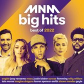 Various Artists - MNM Big Hits Best Of 2022 (3 CD)