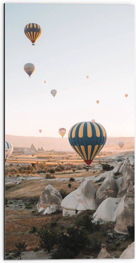 WallClassics - Dibond - Luchtballonnen boven Landschap - 50x100 cm Foto op Aluminium (Met Ophangsysteem)