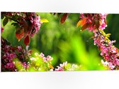 WallClassics - PVC Schuimplaat - Roze Bladeren aan Tak - 100x50 cm Foto op PVC Schuimplaat (Met Ophangsysteem)