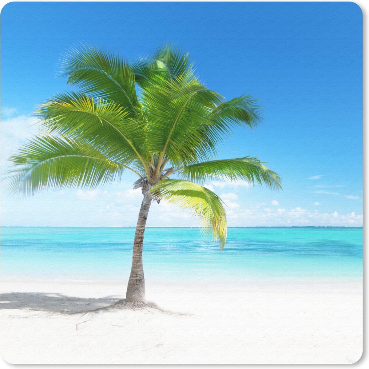 Muismat 30x30 cm - Mousepad Palmboom - Strand - Zee - Zomer - Muismatten