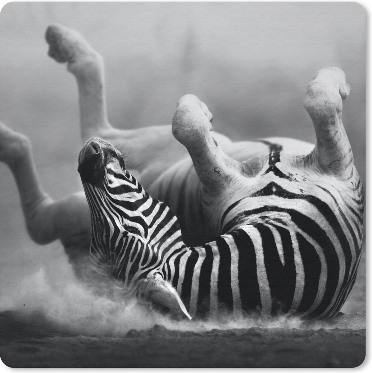 Muismat 30x30 cm - Mousepad Zebra - Dieren - Zwart - Wit - Muismatten