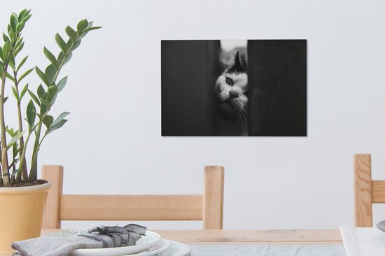 Profil animalier tricherie chat en toile noir et blanc 2cm 30x20 cm - petit - Tirage photo sur toile (Décoration murale salon / chambre)