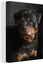 Canvas Schilderij Portret van Rottweiler hond in de studio - 90x120 cm - Wanddecoratie
