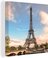 Canvas Paris Eiffel tower