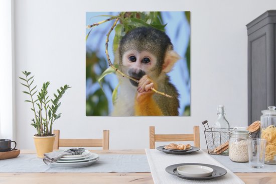 Singe écureuil mâchant une branche 90x90 cm - Tirage photo sur toile peinture (Décoration murale salon / chambre) / animaux sauvages Peintures sur toile