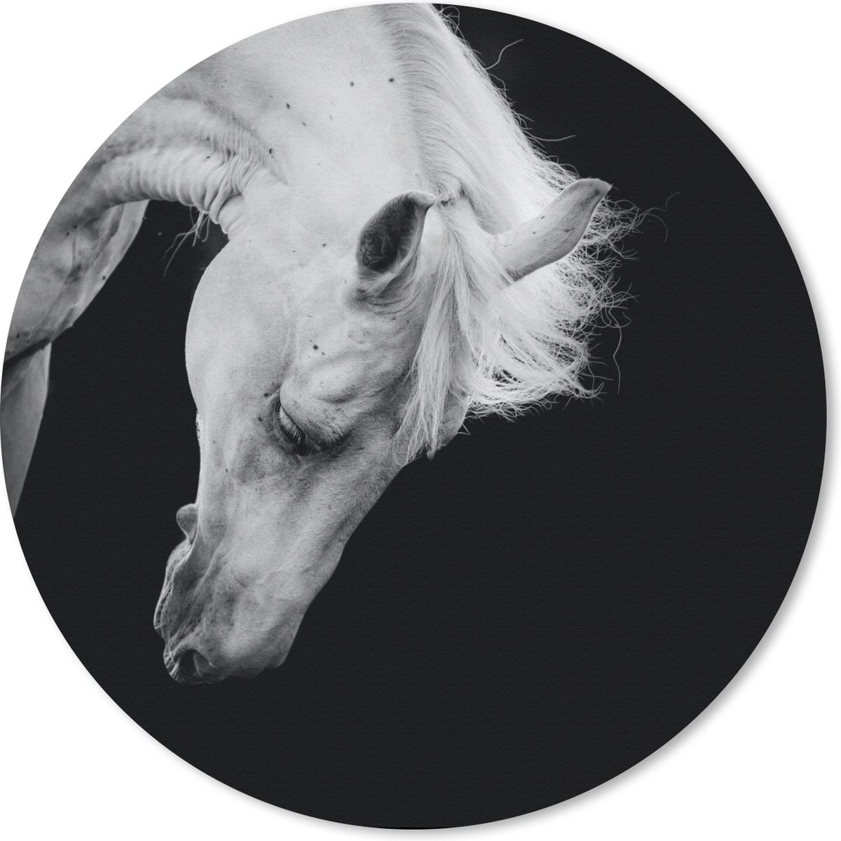 Muismat rond 30x30 cm - Mousepad Paard - Wit - Zwart - Ronde muismatten