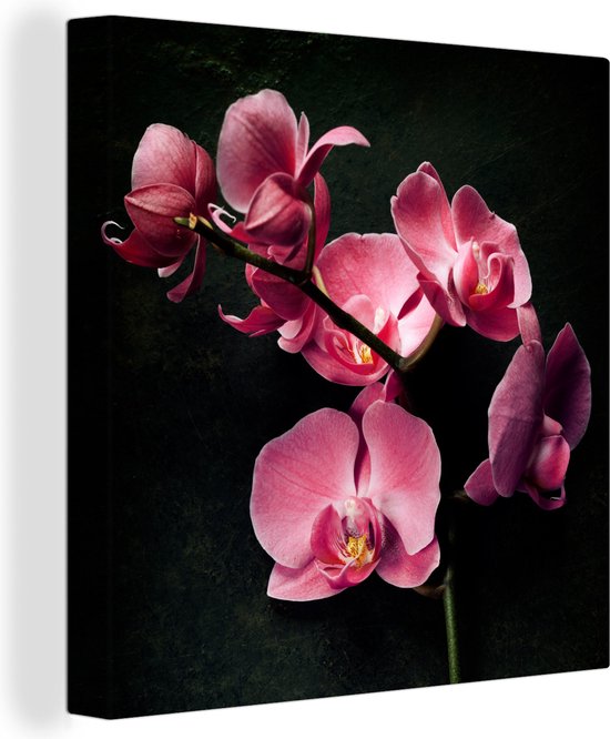 Canvas Schilderij Planten - Orchidee - Bloemen - Roze - 90x90 cm - Wanddecoratie