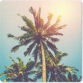 Muismat Klein - Palmboom - Zomer - Tropisch - Zon - 20x20 cm