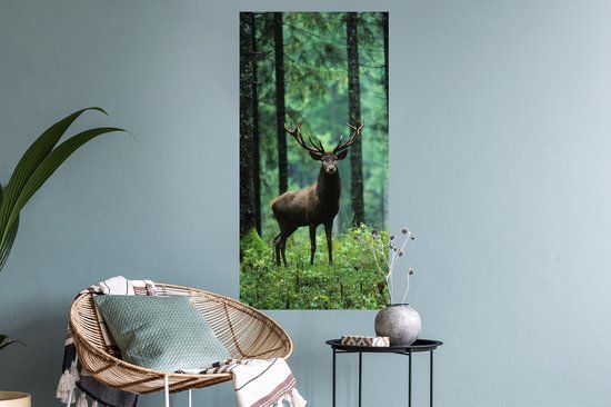 Stickers Stickers muraux - Cerf - Forêt - Arbres - 40x80 cm - Feuille adhésive