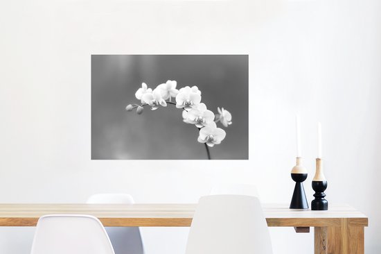 Affiche Orchidée - Fleurs - Plante - Wit - Violet - 60x40 cm