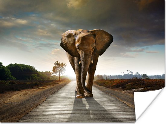 Poster Olifant - Weg - Dieren - Zonsondergang - Landschap - 80x60 cm