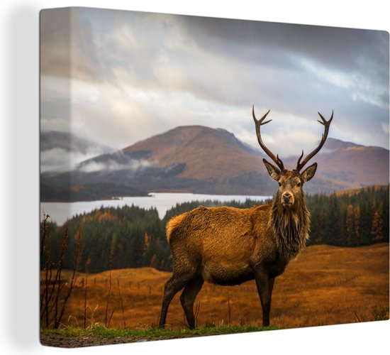 Tableau sur toile - Cerf avec paysage 160x120 - Accessoires de décoration de chambre nature - Peintures animaux de salon - Décoration murale chambre - Décoration murale cuisine - Tissu mural intérieur - Décoration maison - Accessoires de maison