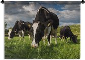 Wandkleed Koeien - Drie Friese Holstein koeien Wandkleed katoen 150x112 cm - Wandtapijt met foto