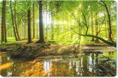 Sous-main 60x40 cm - Tapis de souris Forêt - Paysage - Water - Arbres - Soleil - Vert - Nature - Sous-main XL - Protège-sous-main - Tapis de souris Ordinateur