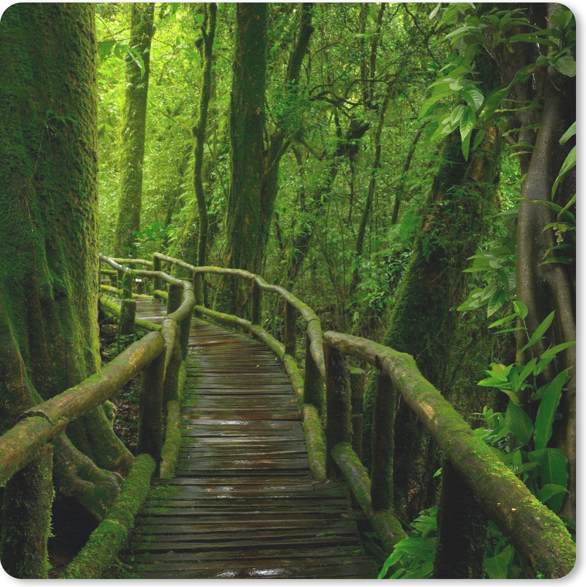 Muismat 30x30 cm - Mousepad Jungle - Brug - Mos - Natuur - Tropisch - Muismatten