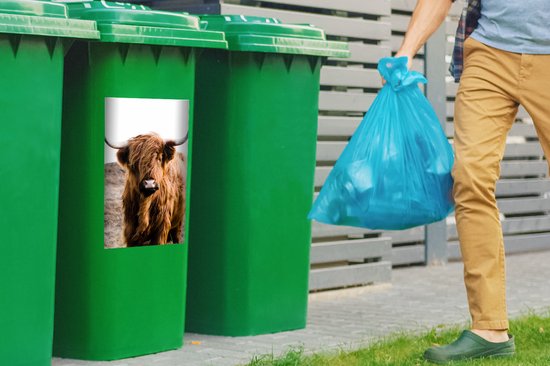 Sticker conteneur Scottish Highlander - Paysage - Vache - Marron - Animaux - Nature - 40x60 cm - Kliko sticker