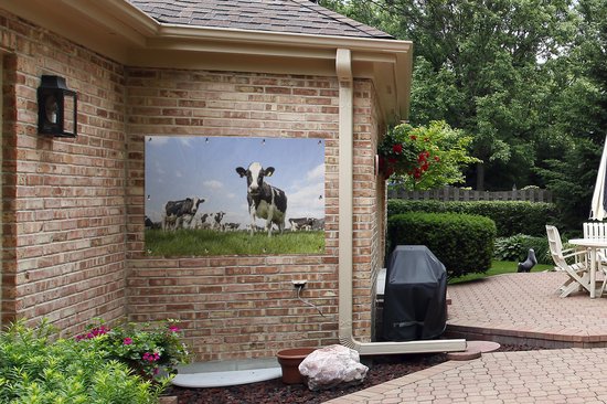 Tuinposter koeien - Tuindecoratie dieren - 120x80 cm - Tuindoek Friesland - Muurdecoratie voor buiten - Schuttingposter - Tuinschilderijen - Tuinwanddecoratie gras - Tuinposters