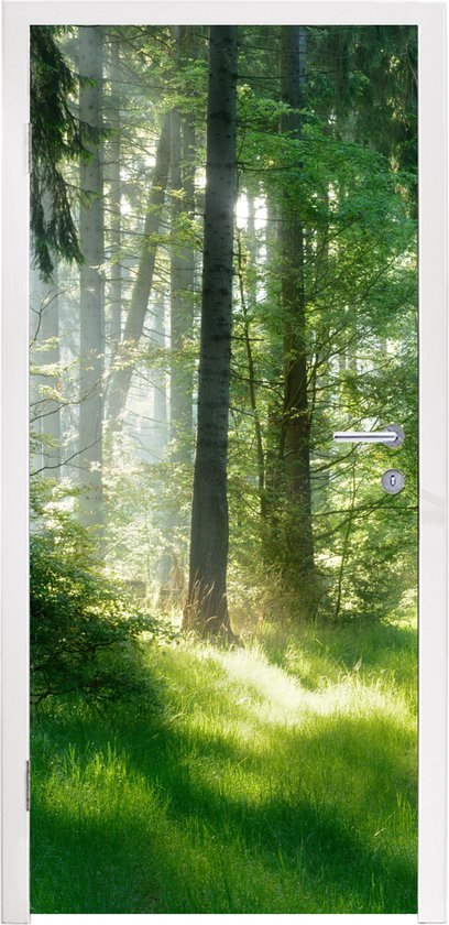 Deursticker Natuur - Bomen - Bos - Groen - Zon - Gras - Planten - 95x235 cm - Deurposter