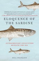 Éloquence de la sardine: rencontres extraordinaires sous la mer