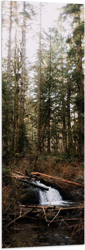 WallClassics - Drapeau - Petite Cascade Nature dans la Forêt - 40x120 cm Photo sur Drapeau Polyester