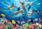 Fotobehang - Behang - Fotobehang - Dolfijnen - Zee - Aquarium - Vissen - Tropisch - Vliesbehang - 152,5 x 104 cm