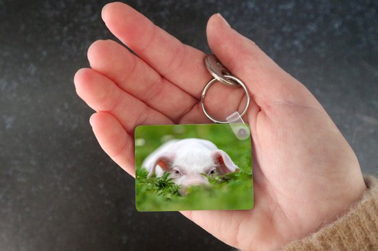 Porte-clés - Cochon - Animaux - Porcelet - Cadeaux à distribuer - Plastique - Cadeaux Sinterklaas - Cadeaux à distribuer pour les enfants - Cadeaux chaussures - Petits cadeaux